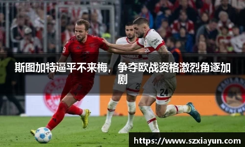 bwin必赢唯一官方网站