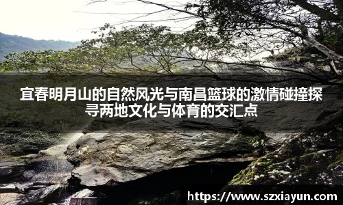 bwin必赢官网入口